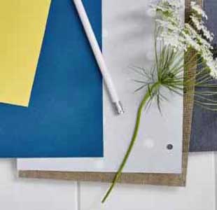 Most popular window blind